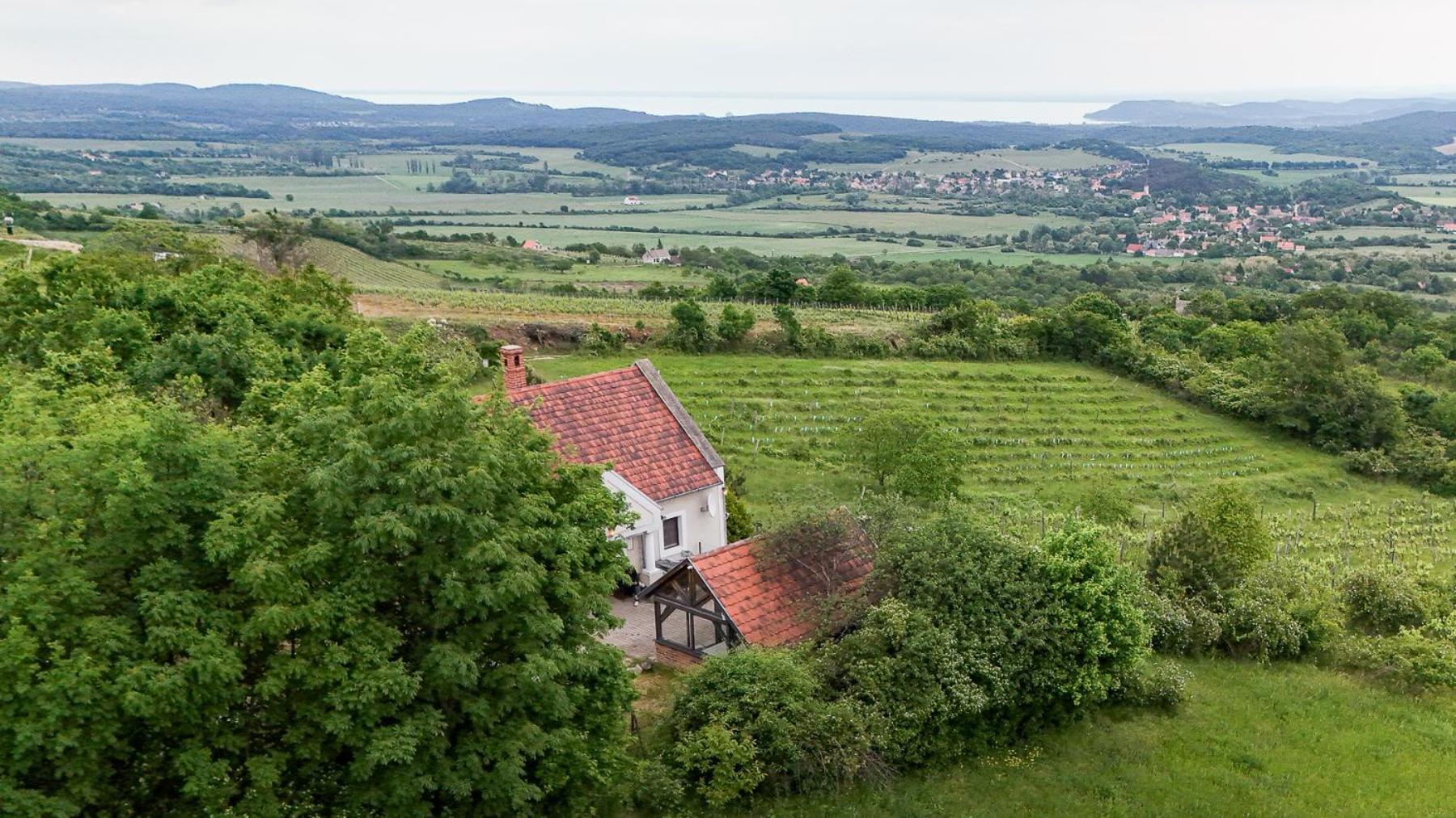 Borospince Vendeghaz Villa Pécsely Buitenkant foto