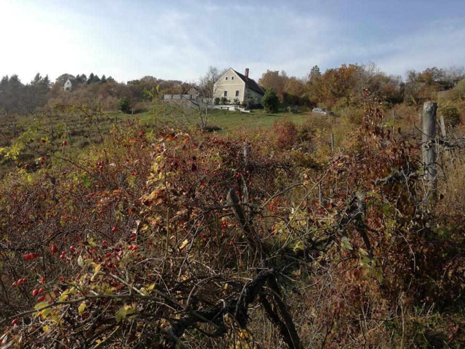Borospince Vendeghaz Villa Pécsely Buitenkant foto